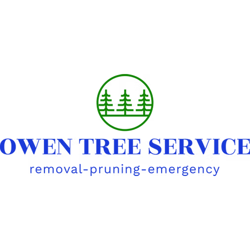 Owen Tree Service Featured Image