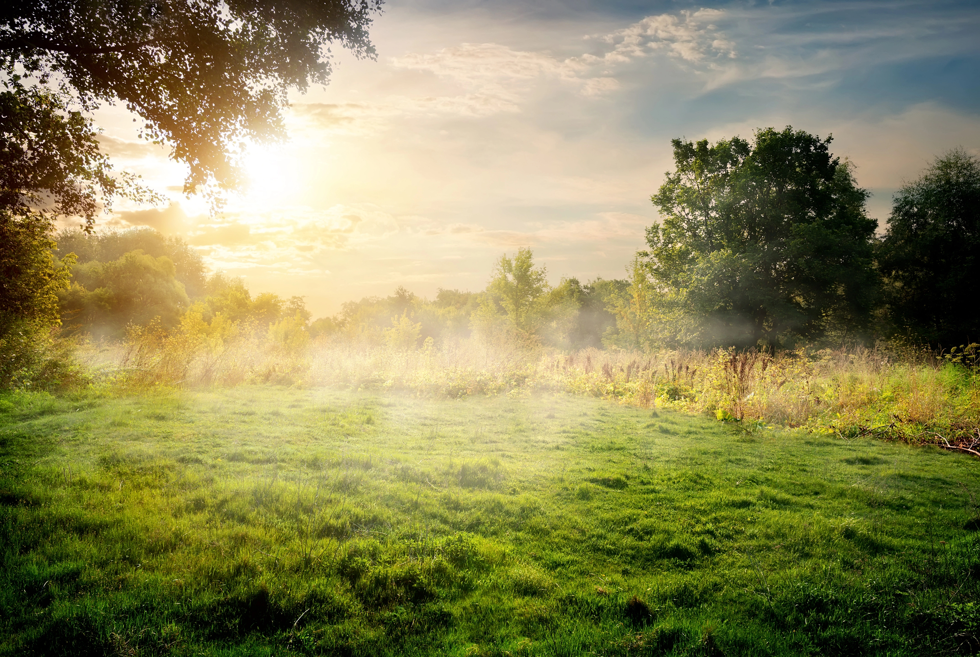 Sunlight filters through trees onto a grassy field with light morning mist and a partly cloudy sky in the background.